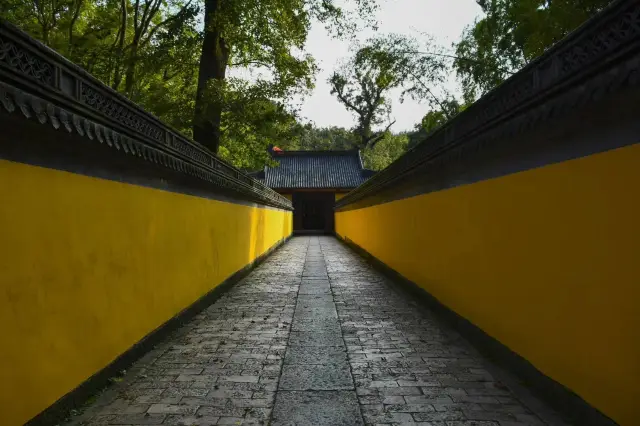 รอบชาติซีรีส์ 137 วัดพระพุทธใหญ่ Xinchang