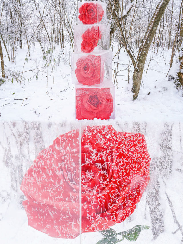 不用去哈爾濱，成都周邊2h就有冰雪王國