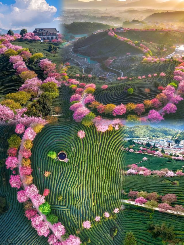 能成為《中國國家地理》《世界地理雜誌》封面的這裡將美成一幅畫
