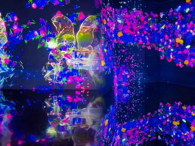 EPSON teamLab 無界美術館：探索無邊界的藝術世界