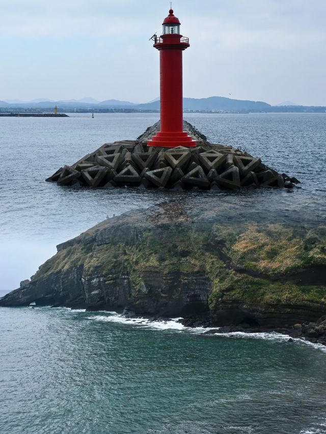 人生建議：去牛島，才不枉來濟州島！