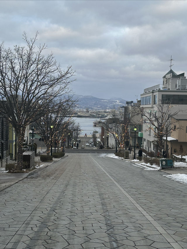 日本北海道冬季行