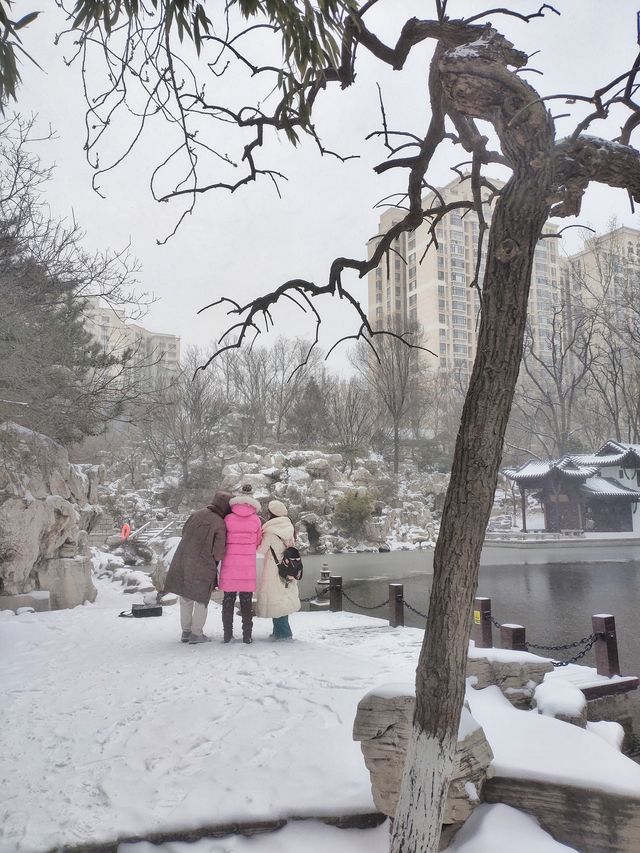 雪中「返璞歸真」——遊濰坊人民公園的「歸真園」