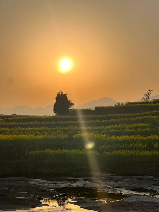 璧山的春天藏匿於村落間