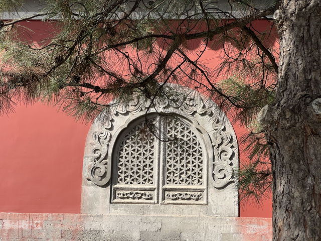 普度寺