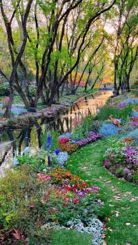 上海免費的公園，裡面有現實版的莫奈花園