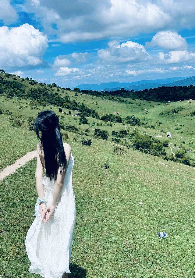 大姆山-小眾旅遊景點