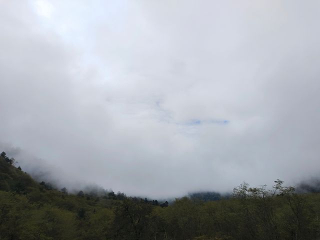 二郎山喇叭河一日遊