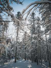 雪地徒步｜老里克湖滿足了我對冰雪童話幻想