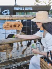 萬寧小眾朋友圈問瘋 都以為我出國了