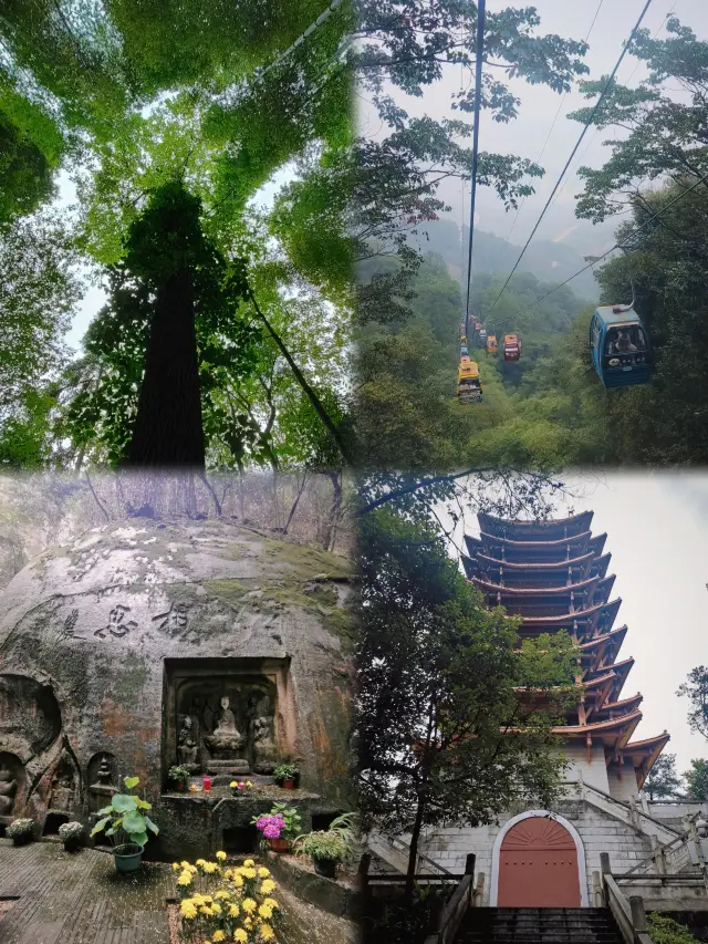 【Chongqing Jinyun Mountain Wonderland One-Day Tour Guide】