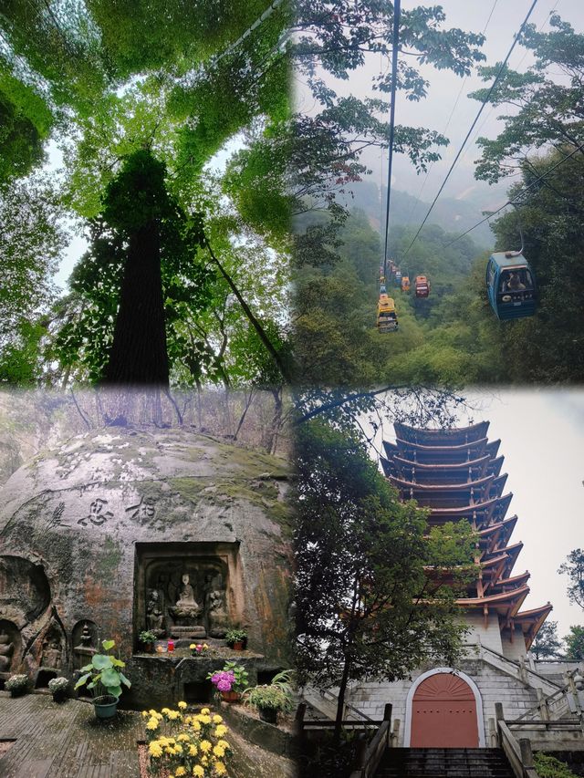 【重慶縉雲山仙境一日暢遊攻略】