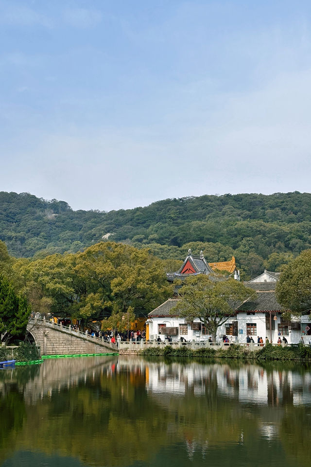 又見普陀山 | 春日漫遊寧波小城和舟山小島