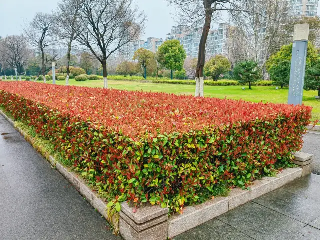 Xuzhou Binhu Park