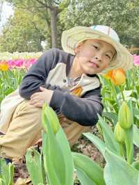 周末親子遊，踏青賞花上海鮮花港攻略