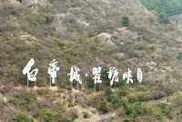 白帝城+瞿塘峽暢遊指南