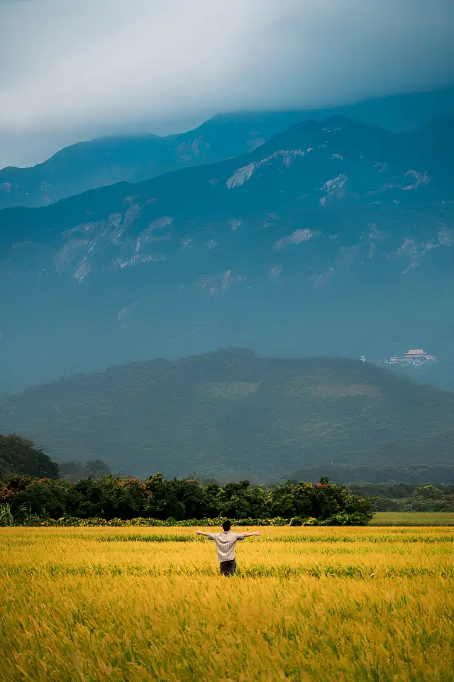 It's not Dali but the vicinity of Dongguan, with rice fields just like those in Xizhou