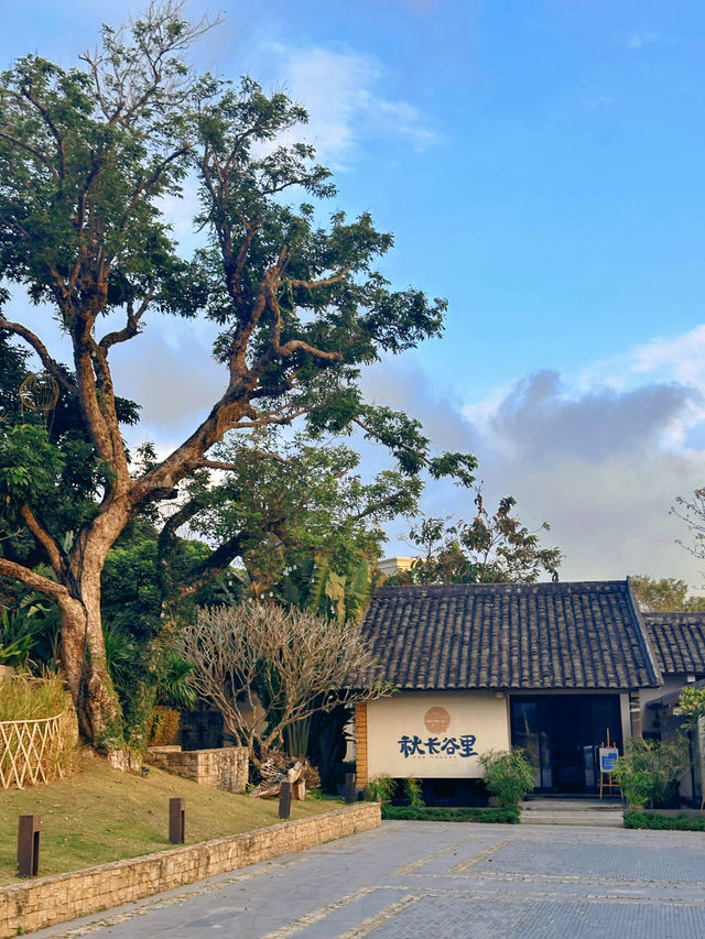 惠陽民宿 | 深度沉浸山野間，感受初春的浪漫