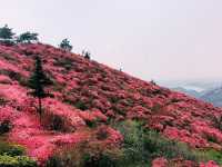 江西，你可別藏著三疊泉游完，直接從廬山東門出山，省得往返