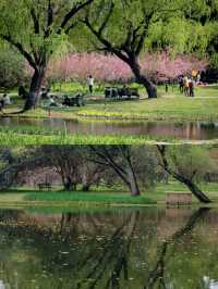 共青不止莫奈花園，親測賞花路線攻略