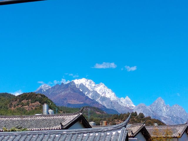 雪山下的櫻花大道