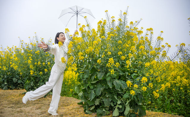 如何拍攝花海人像？來看十大姿勢拍起來！