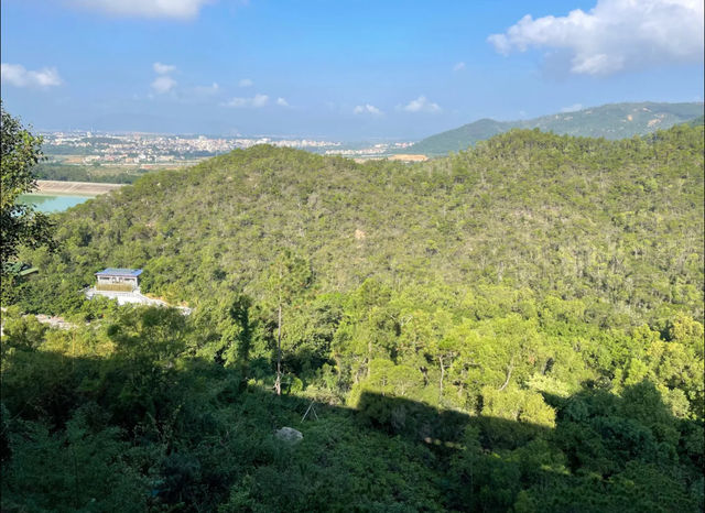 珠海黃楊山森林公園：戶外探險與徒步旅行的理想去處！