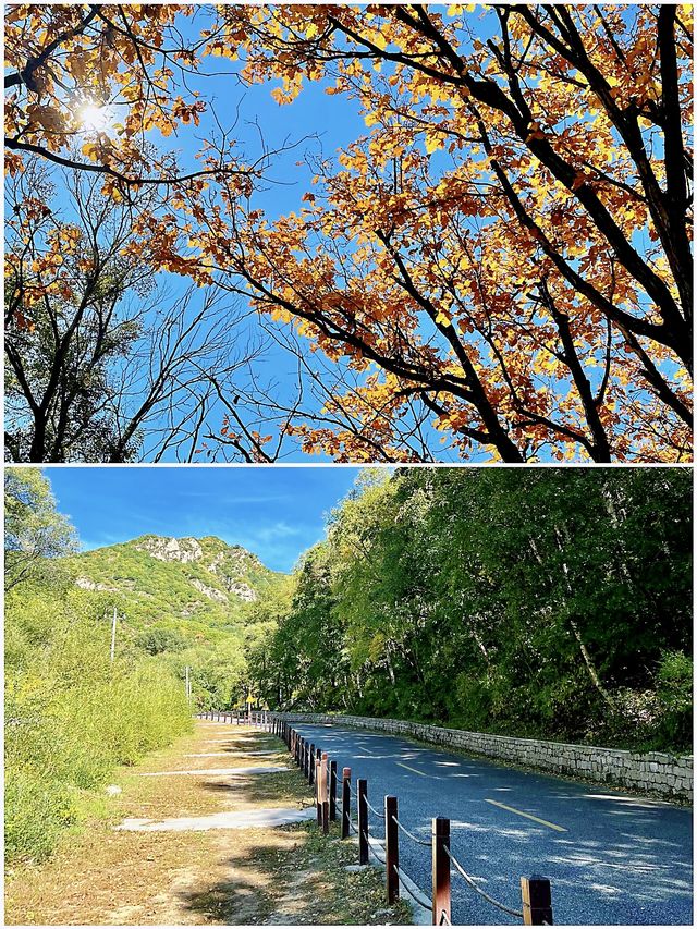北京的初秋，先洒落在喇叭沟原始森林公園
