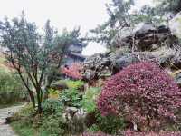 江蘇泰州｜430年歷史的淮左第一園