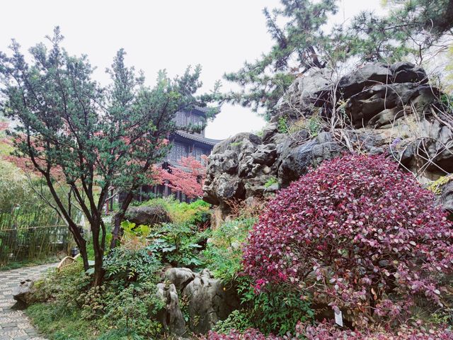 江蘇泰州｜430年歷史的淮左第一園