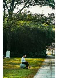 廣州春季露營·戶外野餐賞日落的免費公園推薦！