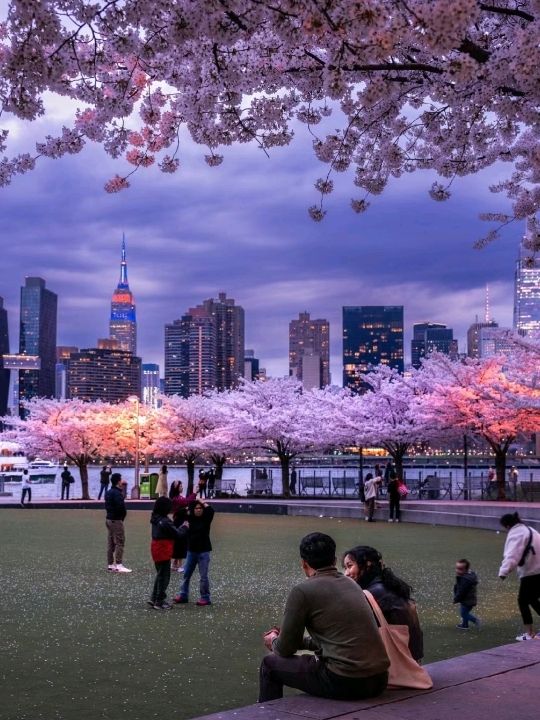 SpringBolossoms at Hunter's Point New York🌸