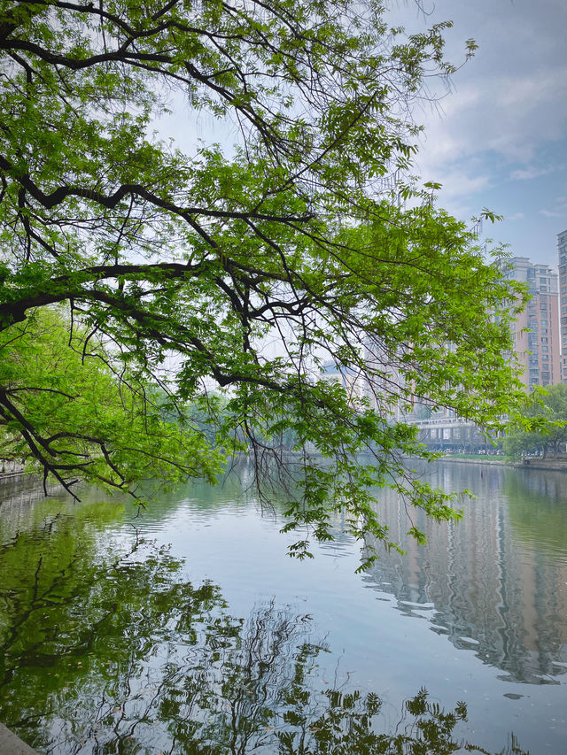 在柯橋｜尋找城市裡的桃花源