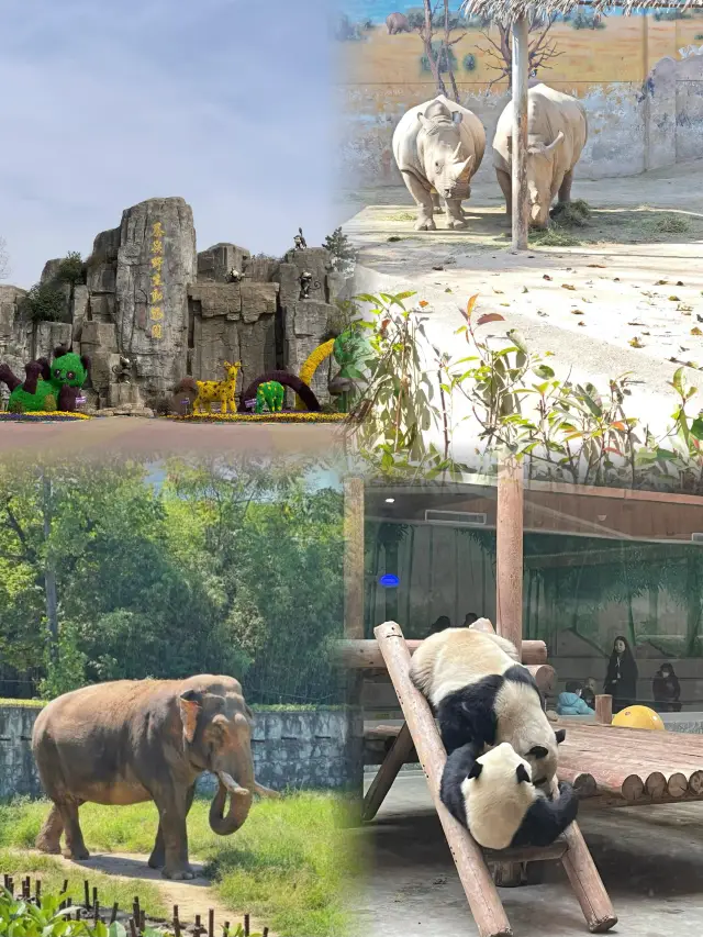 五一遛娃絕佳去處秦嶺野生動物園，生態王國