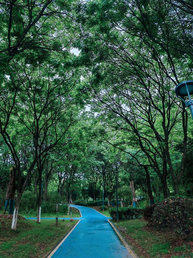 芜湖濱江公園｜風情河畔的柔情畫卷