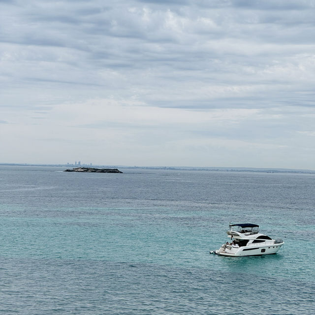 Rottnest island 