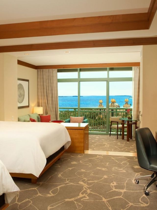 Bahamas Bliss 🌴✨: Unwind at The Cove at Atlantis!