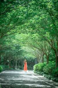 在武漢找到一座像千尋神公園
