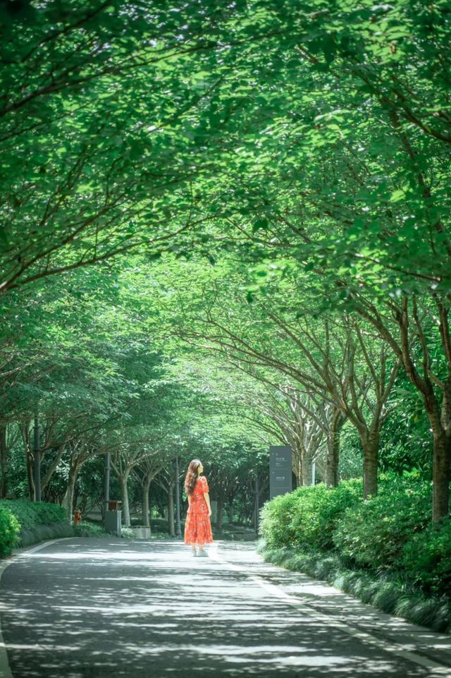 在武漢找到一座像千尋神公園