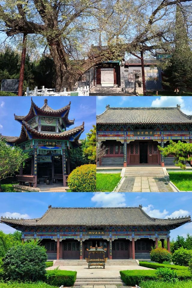 遊鄒平——不得不去的古縣城（二）