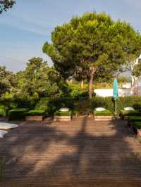 🌟 Setubal's Hidden Gem: Casa Palmela Hotel 🏰✨