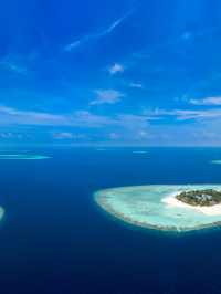 🌴 Maldives Bliss: Banyan Tree Vabbinfaru's Top Picks 🏝️