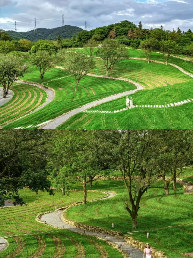 영남 인상원 티켓 할인, 운영 시간, 후기 [2025년] | Trip.com