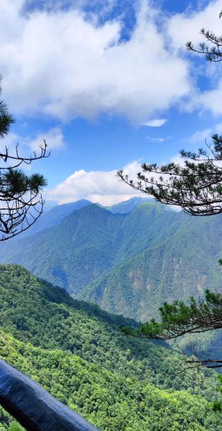 Discover the secrets of the Yangshimu Scenic Area and master your trip to Fushan!