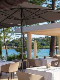🌟 Porto-Vecchio's Finest Stays: Don Cesar Exposed! 🏨✨