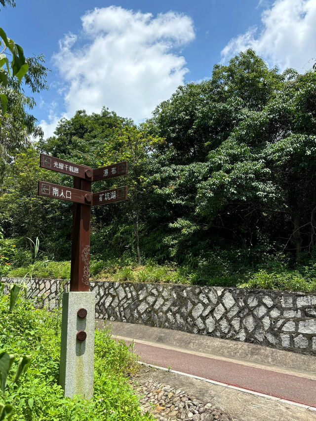 廈門洋麻山森林公園遊玩攻略！超詳細！