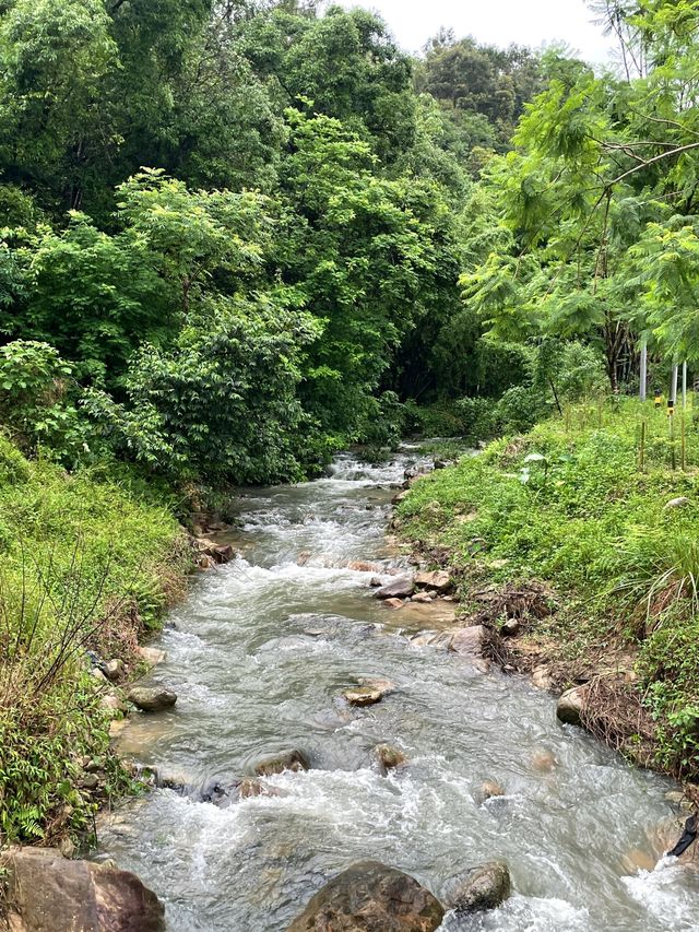 在河源！會反覆去的萬綠湖景民宿