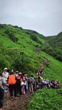 這波九頂山賺麻了