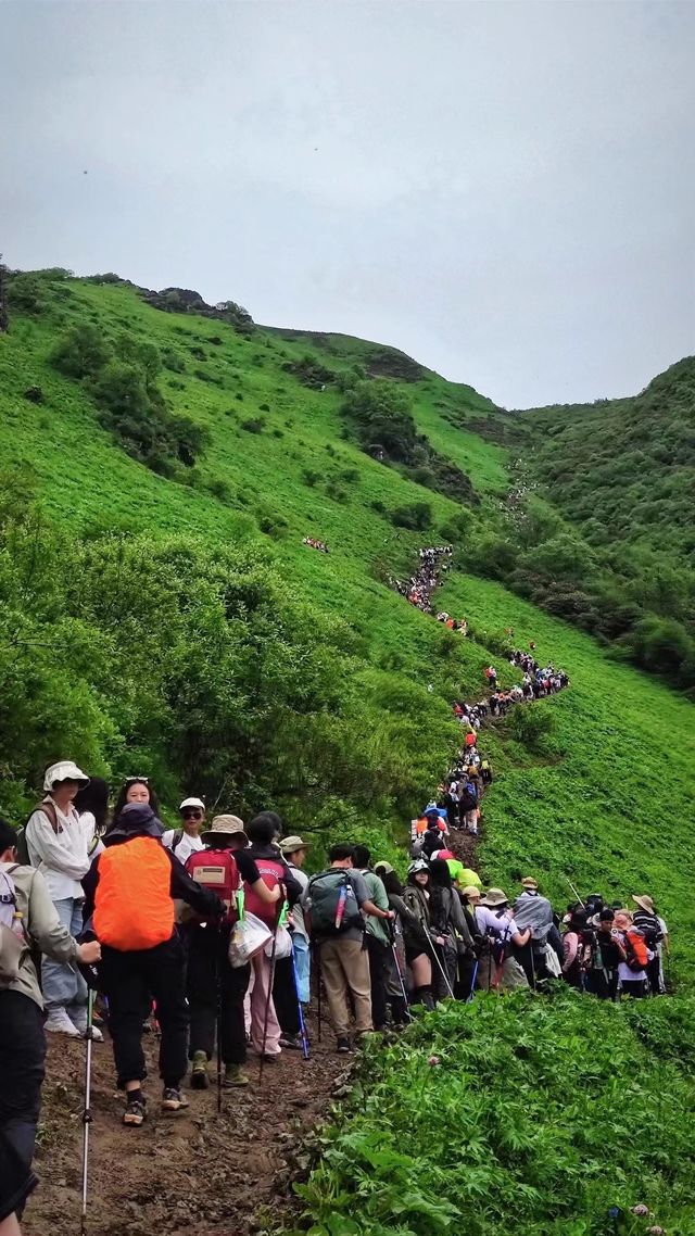 這波九頂山賺麻了