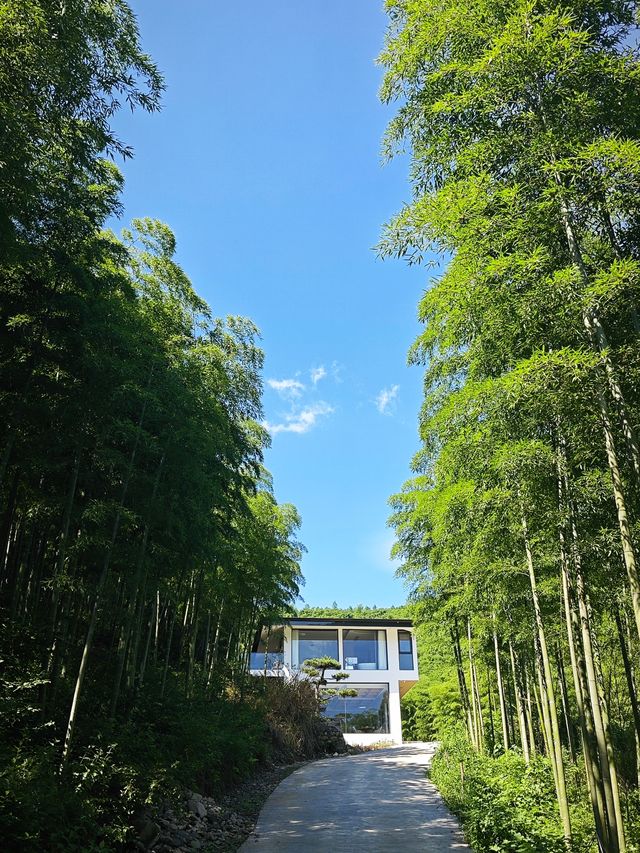 去不了阿勒泰，在安吉邂逅梦中情房